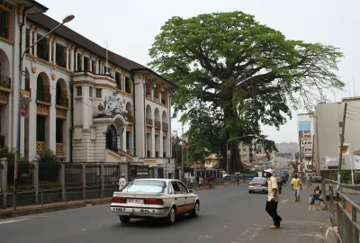 Sierra Leone Cotton Tree